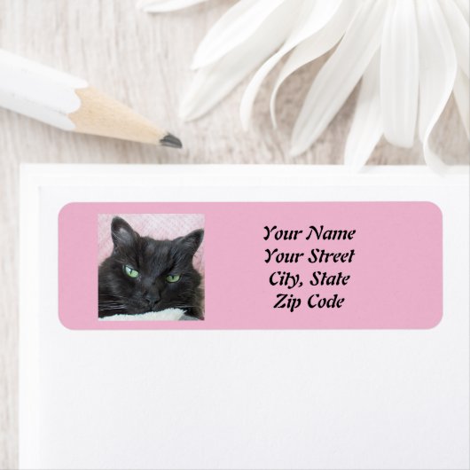 Étiquette Cat Return Address Label (En situation)