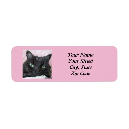 Étiquette Cat Return Address Label (Devant)