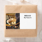 Étiquette Cat Taking (En situation)