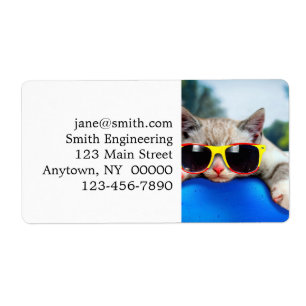 Étiquette Cat wearing sunglasses relaxing on air mattress