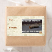 Étiquette CATapillar (En situation)