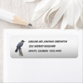 Étiquette Catbird (En situation)