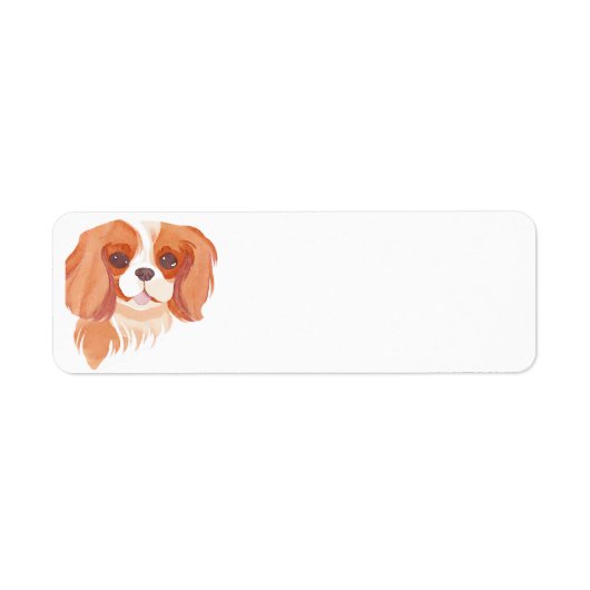 Étiquette Cavalier King Charles Spaniel (Devant)