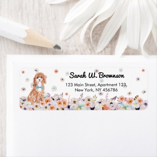 Étiquette Cavapoo Cavoodle Chien race (En situation)