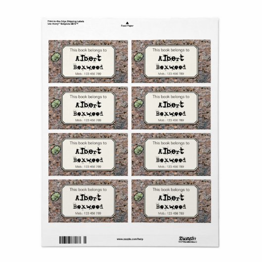 Étiquette Ce Livre Appartient À La Texture Rock De Nom Perso (Feuille entière)