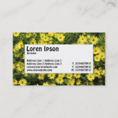 Étiquette central - Faisceaux jaunes (Dos)