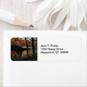 Étiquette Central Park : Conversation En Face Du Pont De Bow (En situation)