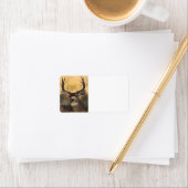 Étiquette cerf (En situation)