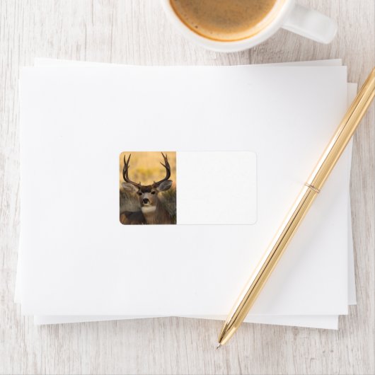 Étiquette cerf (En situation)