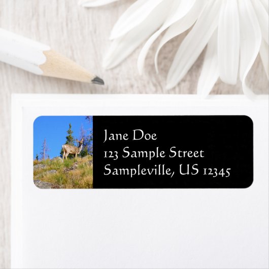 Étiquette Cerf de montagne (En situation)