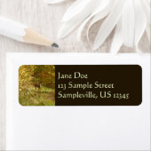 Étiquette Cerf de Pennsylvanie en automne (En situation)