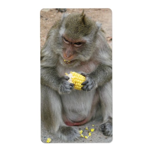 Étiquette C'est à moi ! ! ... Singe Macaque thaïlandais sauv (Devant)