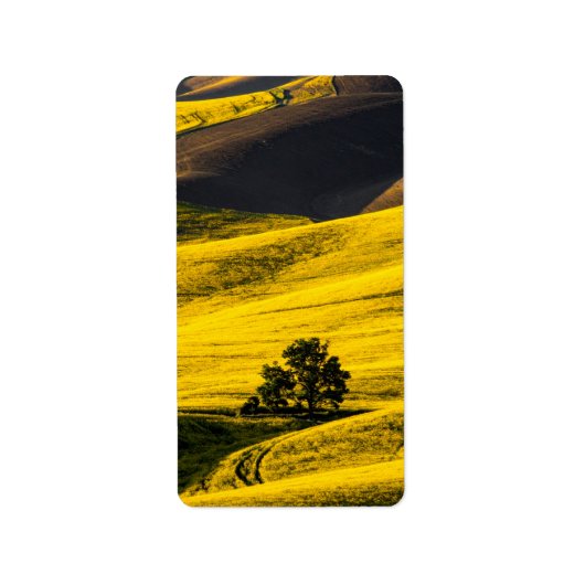 Étiquette Champ de prairie jaune dans le vent (Devant)