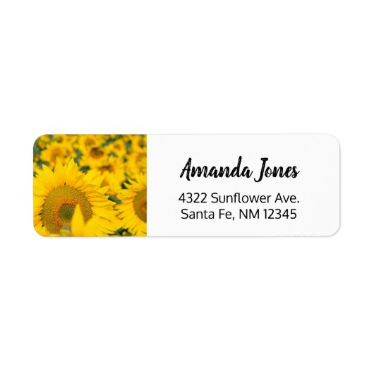 Étiquette Champ jaune de tournesols photo (Devant)