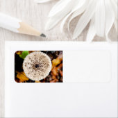 Étiquette Champagne (En situation)