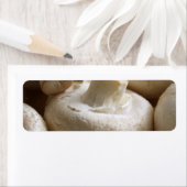 Étiquette Champignons de boutons (En situation)