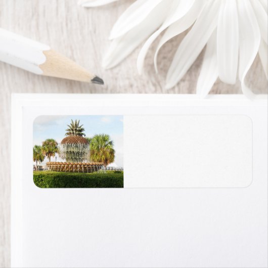 Étiquette Charleston SC Pineapple Fountain, Waterfront Park (En situation)