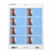 Étiquette chat bleu cool (Feuille entière)