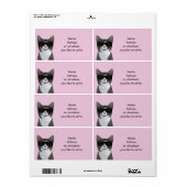 Étiquette Chat cool Avec Lunettes De Soleil Noir (Feuille entière)