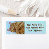 Étiquette Chat couché (En situation)