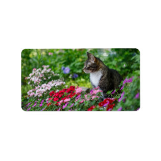 Étiquette Chat dans le jardin