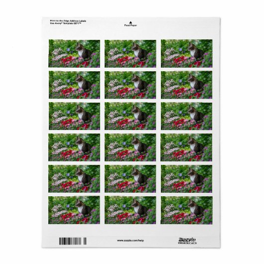 Étiquette Chat dans le jardin (Feuille entière)