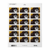 Étiquette Chat d'automne (Feuille entière)