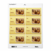 Étiquette Chat de blanchisserie (Feuille entière)