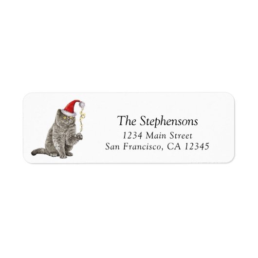 Étiquette Chat de Noël Santa Hat Adresse de retour (Devant)