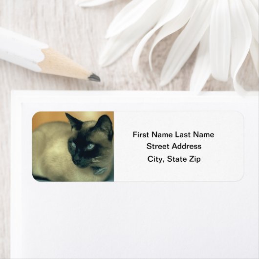 Étiquette Chat de Siamese (En situation)