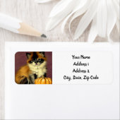 Étiquette Chat d'Halloween Ragdoll vintage (En situation)