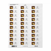 Étiquette Chat d'Halloween Ragdoll vintage (Feuille entière)