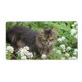 Étiquette Chat domestique à longue aile (Devant)