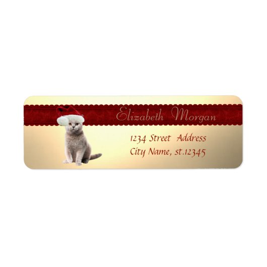 Étiquette Chat Élégant Et Élégant Avec Chapeau De Santa (Devant)