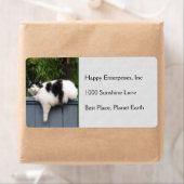 Étiquette Chat gras sur la clôture (En situation)