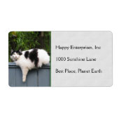 Étiquette Chat gras sur la clôture (Devant)