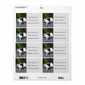 Étiquette Chat gras sur la clôture (Feuille entière)