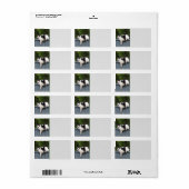 Étiquette Chat gras sur la clôture (Feuille entière)