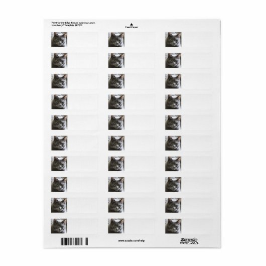 Étiquette Chat gris (Feuille entière)