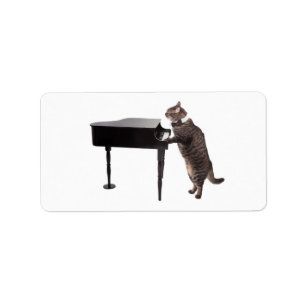 Étiquette Chat Jouer Piano