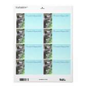 Étiquette Chat Kitty En Gris (Feuille entière)
