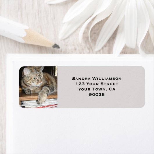 Étiquette Chat mignon (En situation)