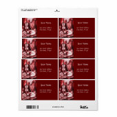 Étiquette CHAT MUSICAL AVEC OWL, Rouge, Blanc (Feuille entière)