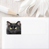 Étiquette Chat noir (En situation)