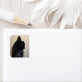 Étiquette Chat noir (En situation)