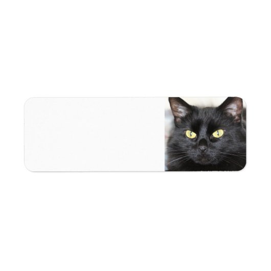 Étiquette Chat noir (Devant)