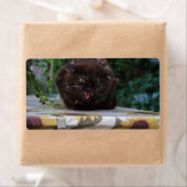 Étiquette Chat noir en colère (En situation)