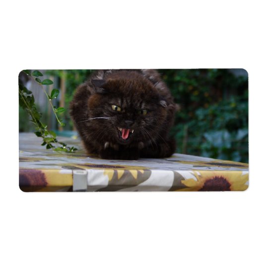 Étiquette Chat noir en colère (Devant)
