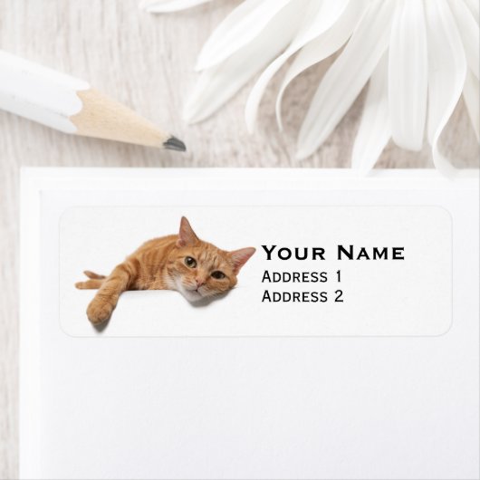 Étiquette Chat Orange Posé En Bas (En situation)