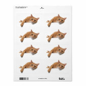Étiquette Chat Orange Posé En Bas (Feuille entière)